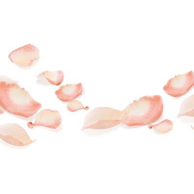 Vegetal Óleo de 1000 Rosas